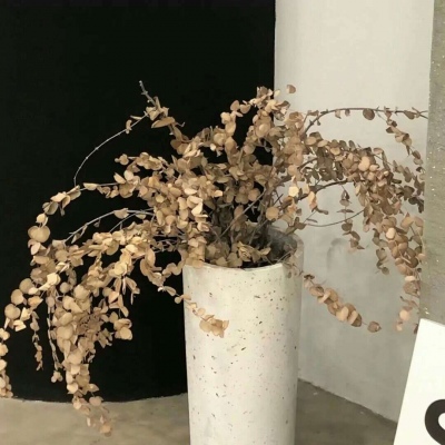 Furry色彩搭配实用技巧兽圈社群